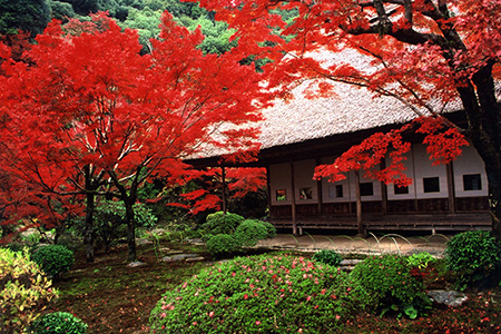 九年庵【神埼市】